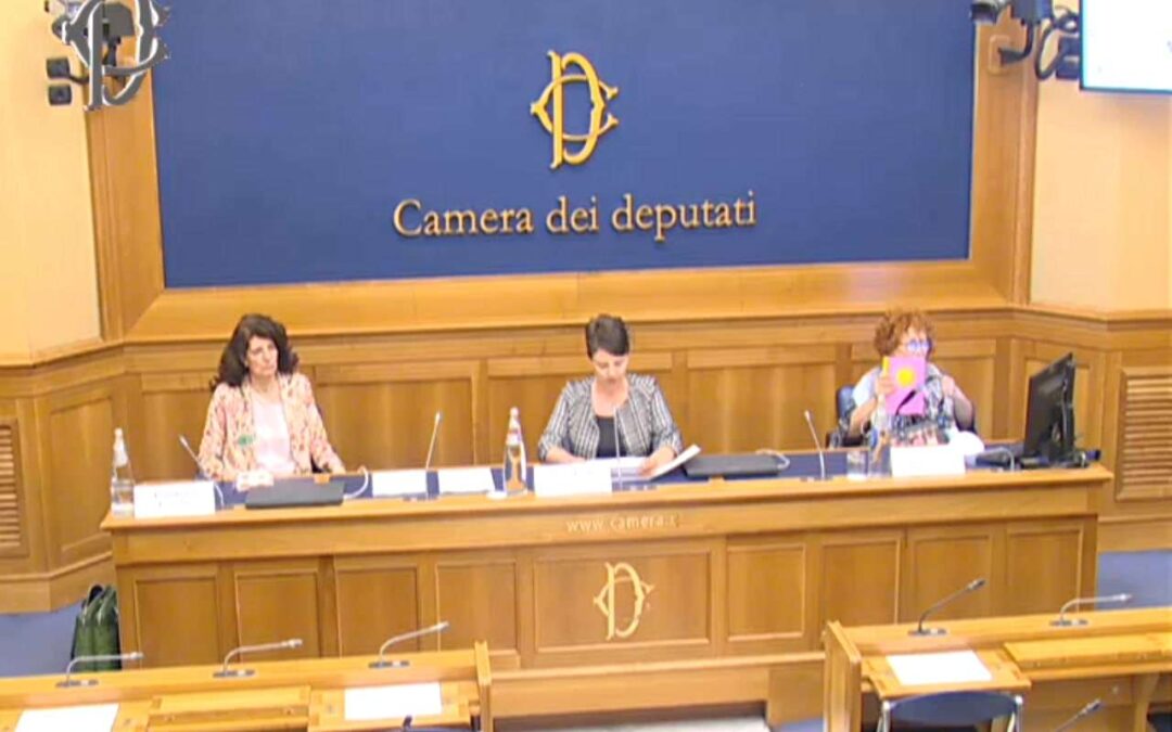 7 luglio,  in  DIRETTA DALLA CAMERA DEI DEPUTATI: “Stati Generali e occupazione femminile: il ruolo delle donne nel rilancio del Paese”
