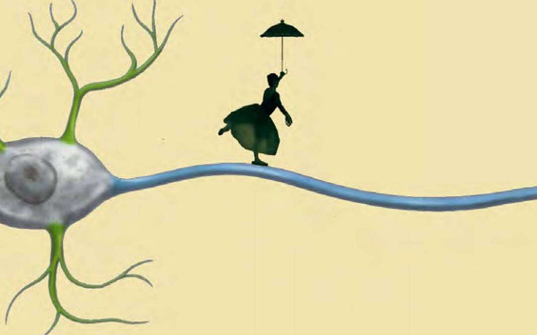 Come ri-trovare l'equilibrio perduto?