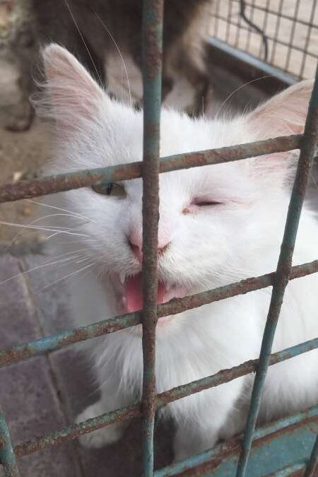 Lottare contro la violenza è un esercizio quotidiano