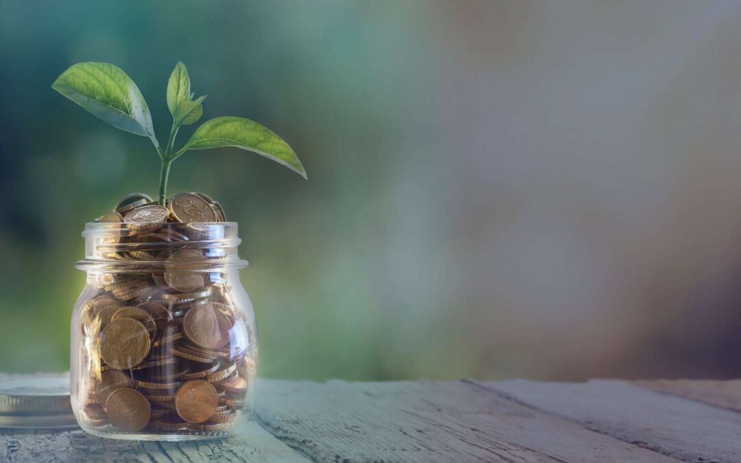 Lo specchio dei tempi