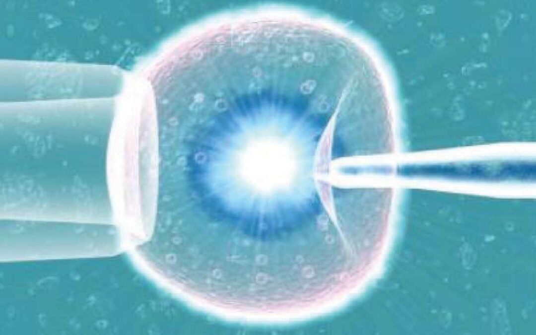 Fecondazione assistita