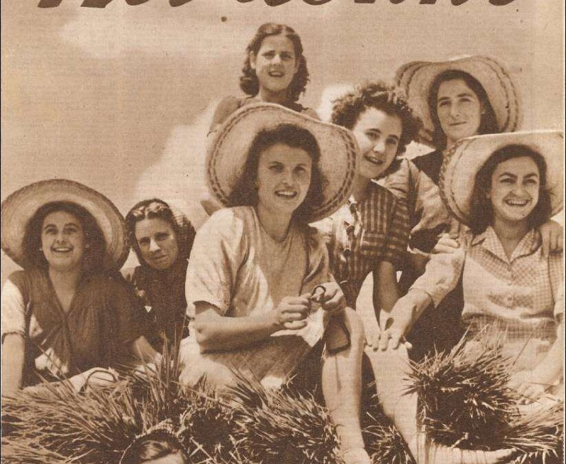 Digitalizzazione dell'Archivio storico di NOIDONNE: un nuovo traguardo lungo un cammino che continua