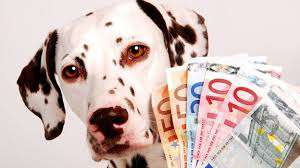 Nel divorzio congiunto ci si accorda sulle spese per il cane e su chi deve tenerlo durante le vacanze