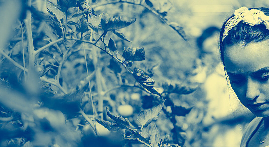 Progetto EWA, Empowering Women in Agrifood