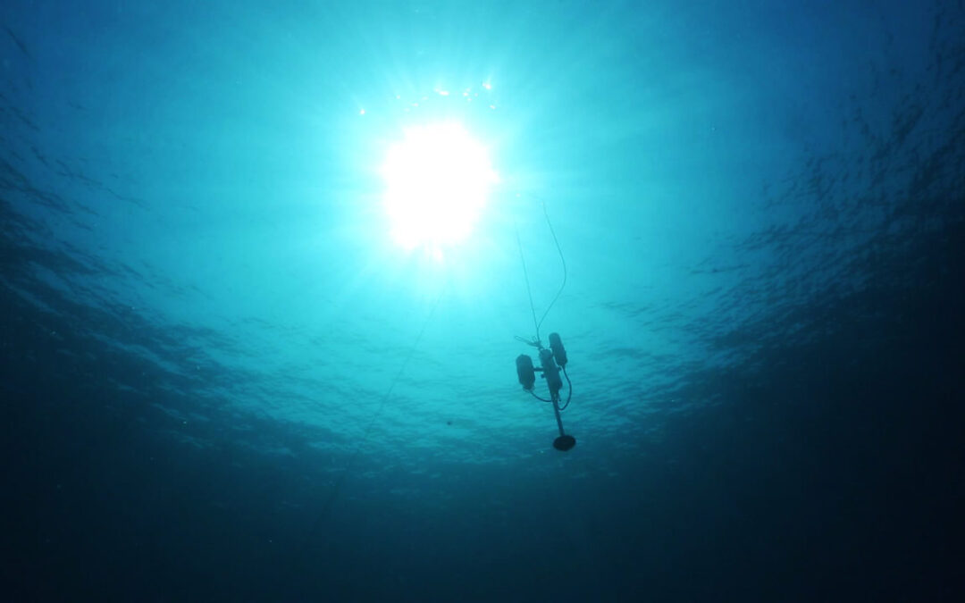 CHIARA PETRIOLI NEL CONSIGLIO EUROPEO DELL’INNOVAZIONE (EIC)