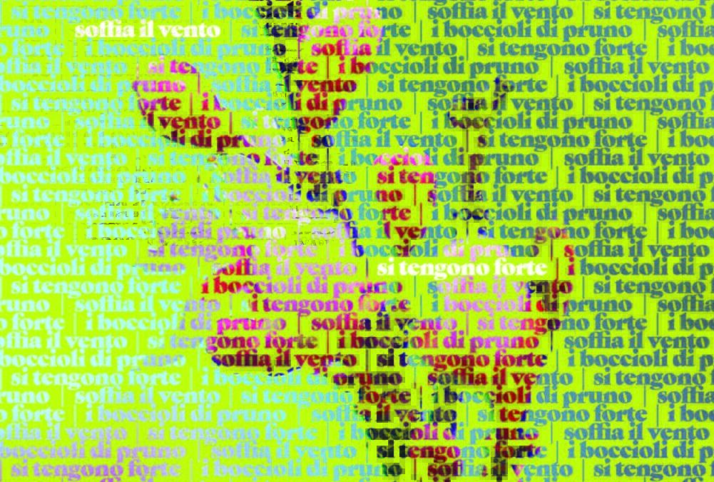 Universi in tre versi, sbocciano le Voci di donna. Marzo al Circolo dei lettori a Novara