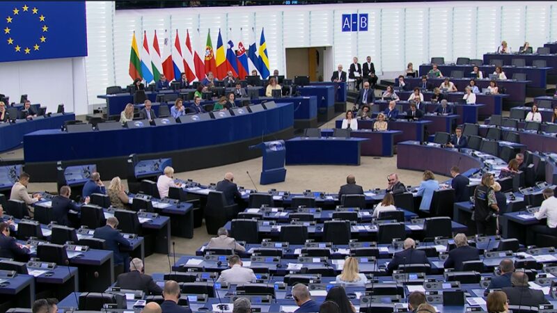 CHI SONO I/LE 14 VICEPRESIDENTI ELETTI/E NELLA DECIMA LEGISLATURA DEL PARLAMENTO EUROPEO, RESOCONTO DI DANIELA DOMENICI