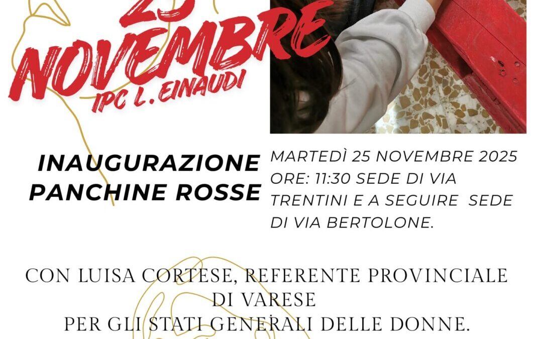 Varese, 25 Novembre: l’istituto L. Einaudi si mobilita contro la violenza sulle donne