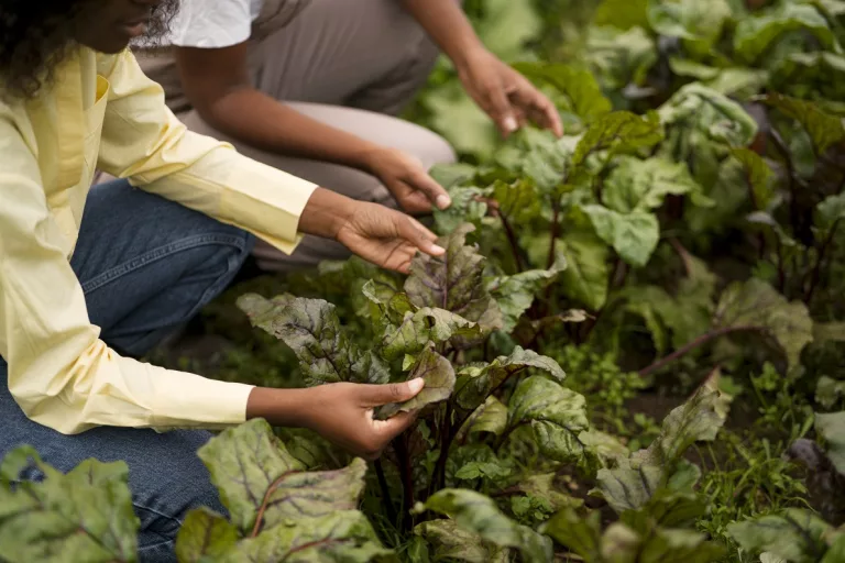 Le donne di Kibera coltivano speranza nel cuore della crisi climatica