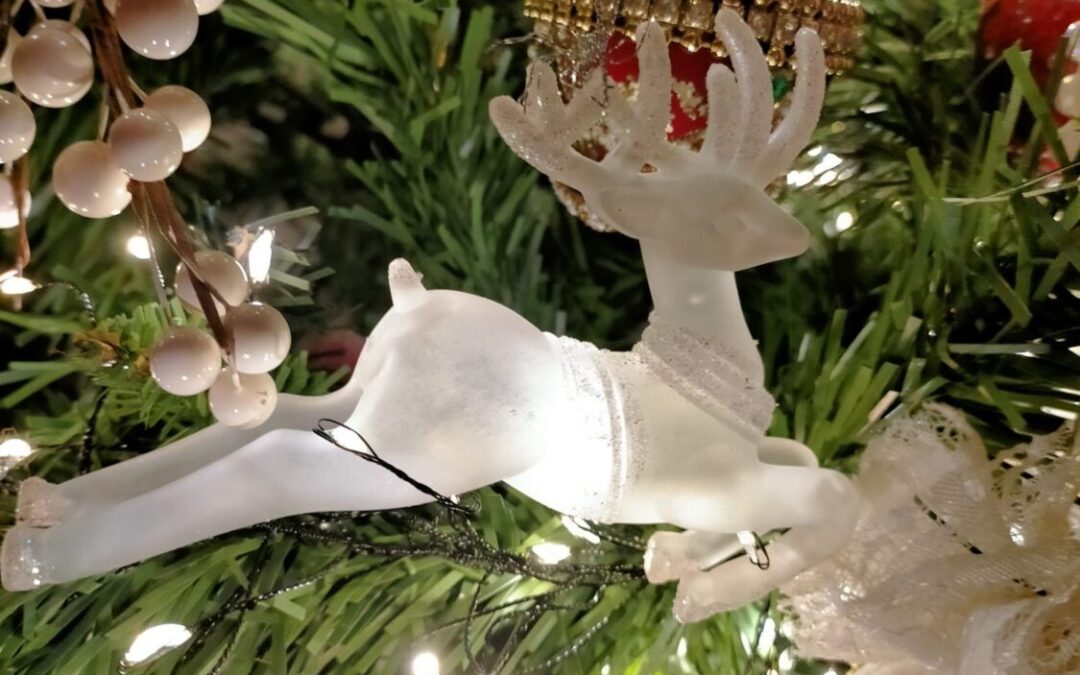 25 dicembre: NATALE 2025