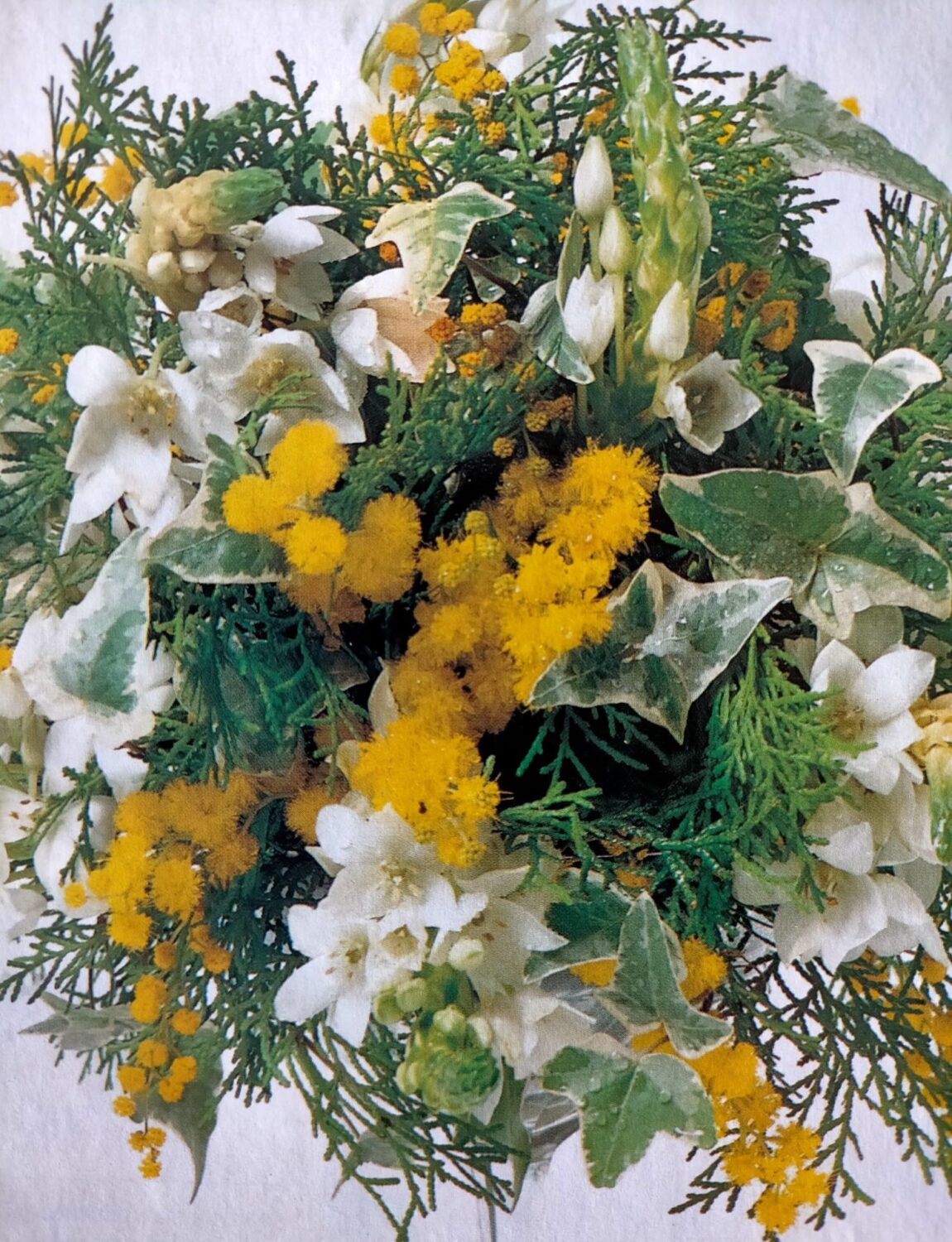 616071d7-3540-4f31-a1c3-9a9221a80422