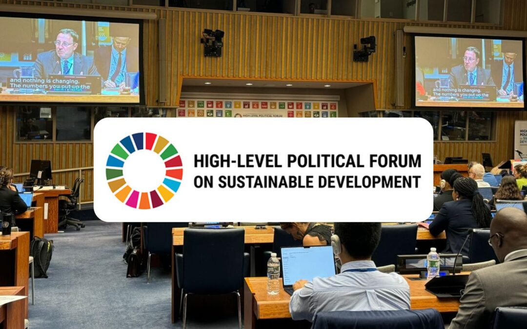 L’Agenda 2030 all’High-level Political Forum di New York: il bilancio globale e il valore della memoria ambientale di genere